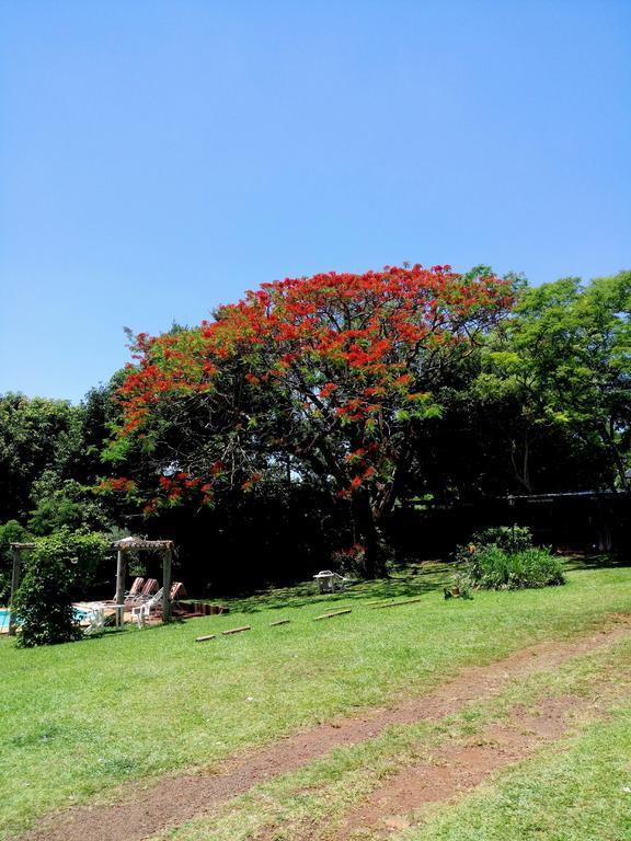 Hostel Y Posada Colibri Puerto Iguazú Buitenkant foto